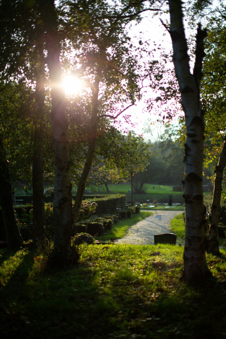 Gedenkpark Westerveld biedt de mogelijkheid voor verschillende urnengraven