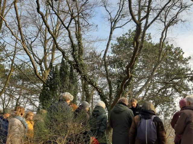 wandeling Westerveld op 15 februari