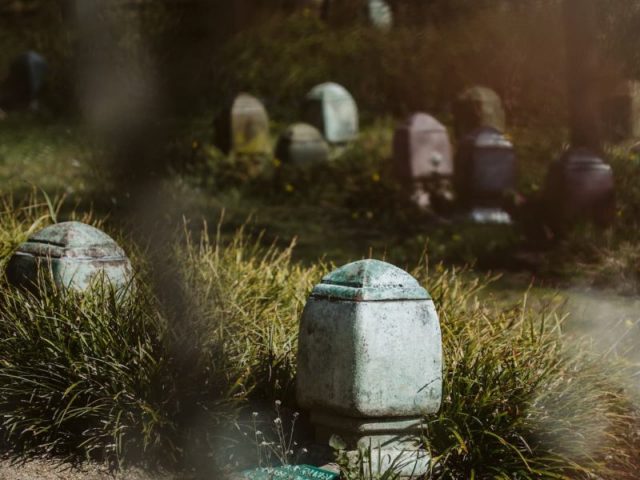 westerveld-begraafplaats-crematorium-blauwe-urn-in-veld